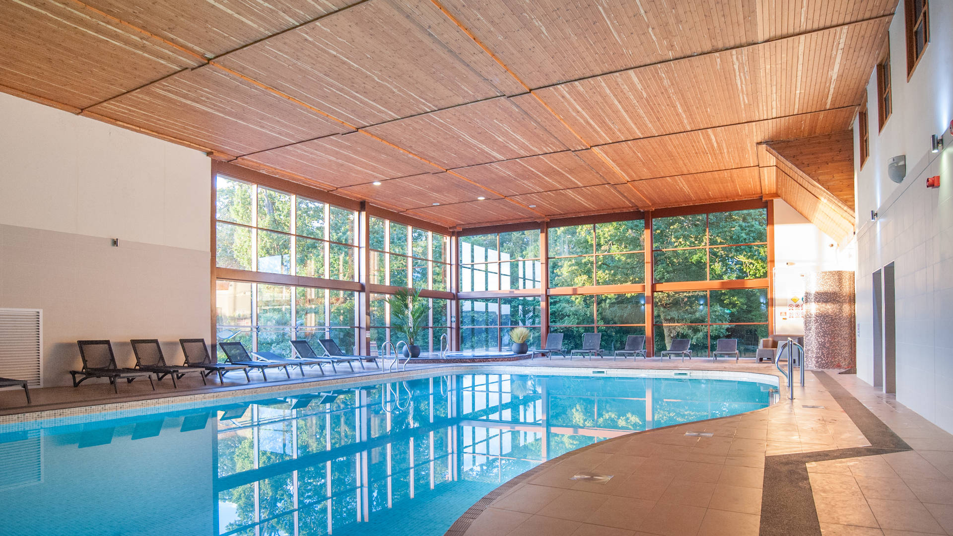 Swim Image