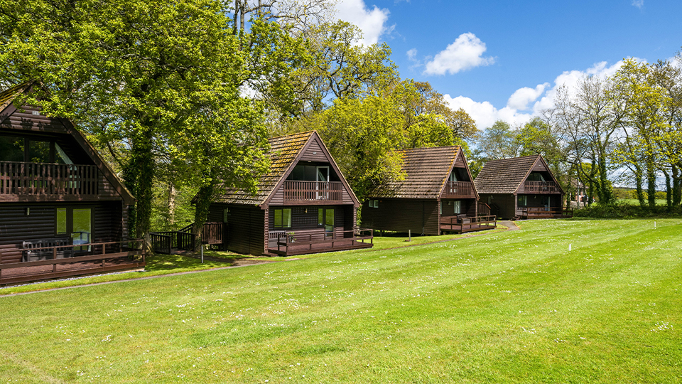 Woodbury Park Lodges Exterior Drone