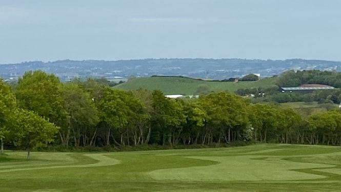 View of Cams Hall Estate golf course