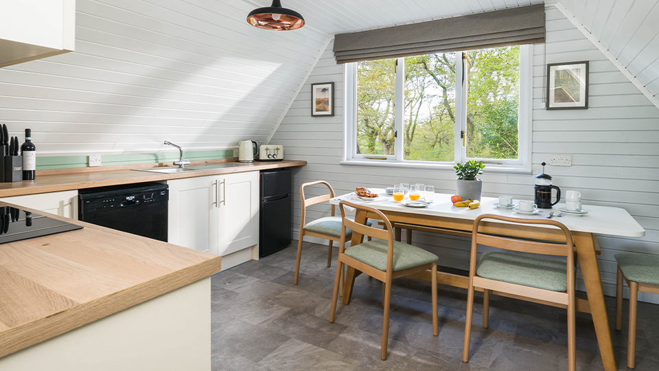 Woodbury Park Lodges Kitchen